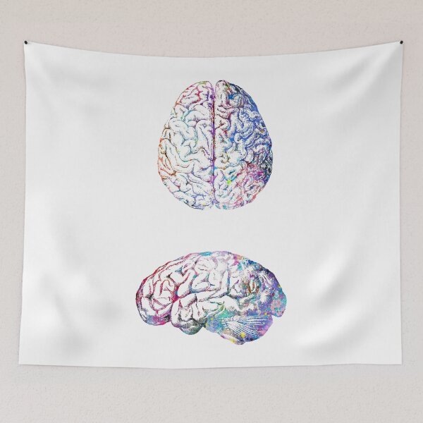 Item preview, Human Brain Anatomy Side and Upside View designed and sold by EvasDreams.