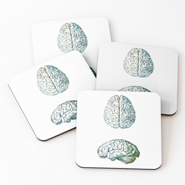 Item preview, Human Brain Anatomy Side and Upside View designed and sold by EvasDreams.
