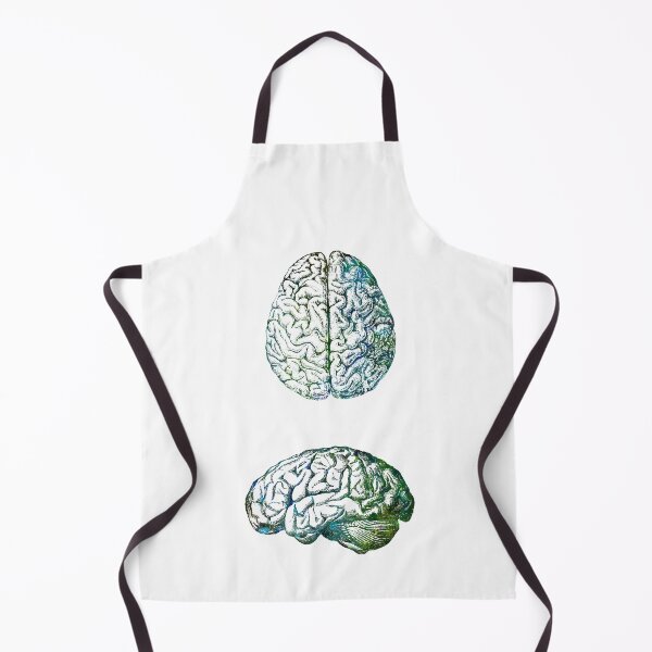 Item preview, Human Brain Anatomy Side and Upside View designed and sold by EvasDreams.