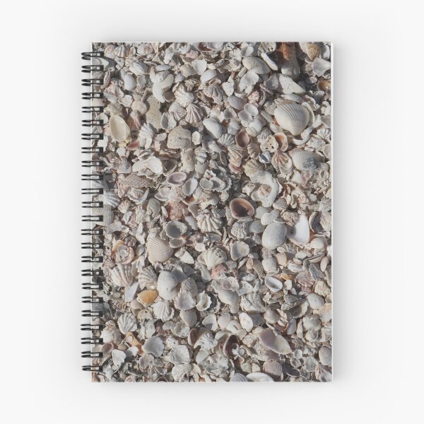 Item preview, florida seashells designed and sold by distracted.