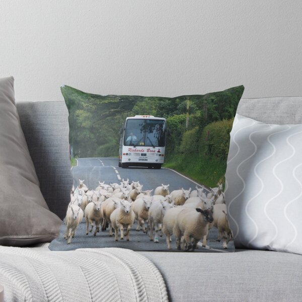 Item preview, Busy road on North Wales designed and sold by 29Breizh33.