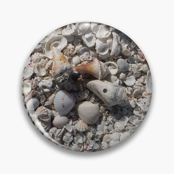 Item preview, Florida seashells II designed and sold by distracted.