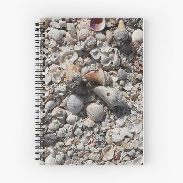 Item preview, Florida seashells II designed and sold by distracted.