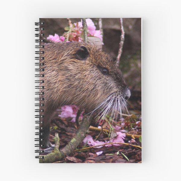 Item preview, Nutria designed and sold by DomenicBlair77.