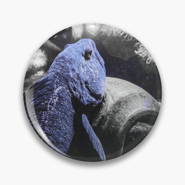Item preview, Marine life in aquarium London designed and sold by S Y N T H R E A L M.