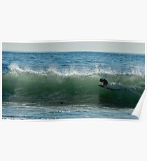 Bodyboard Poster