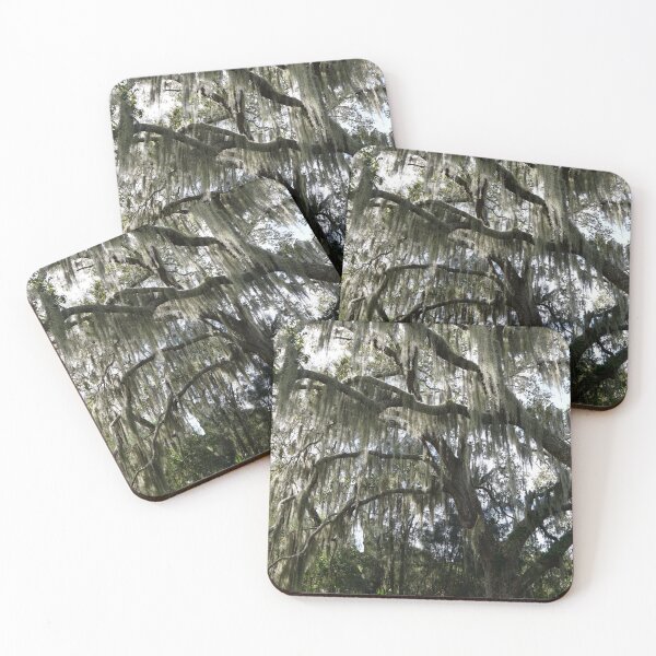 Item preview, old tree with spanish moss designed and sold by distracted.
