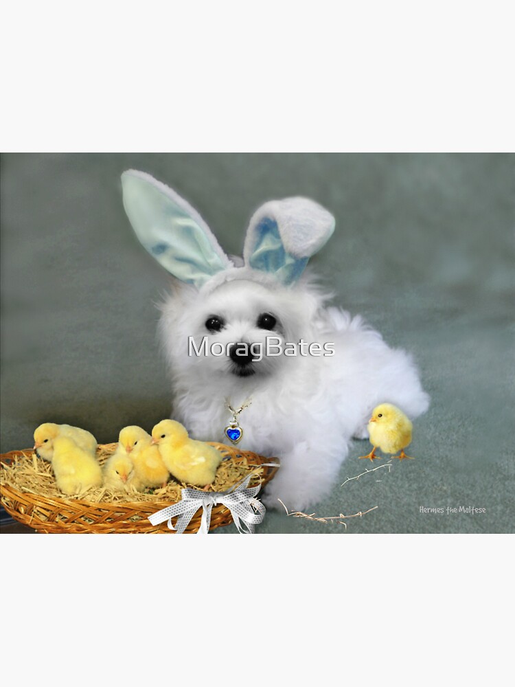 "Hermes at Easter" Sticker by MoragBates Redbubble