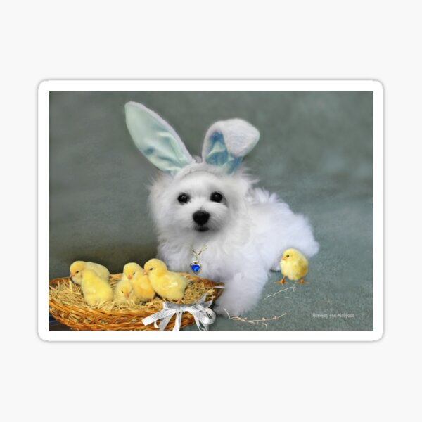 "Hermes at Easter" Sticker by MoragBates Redbubble