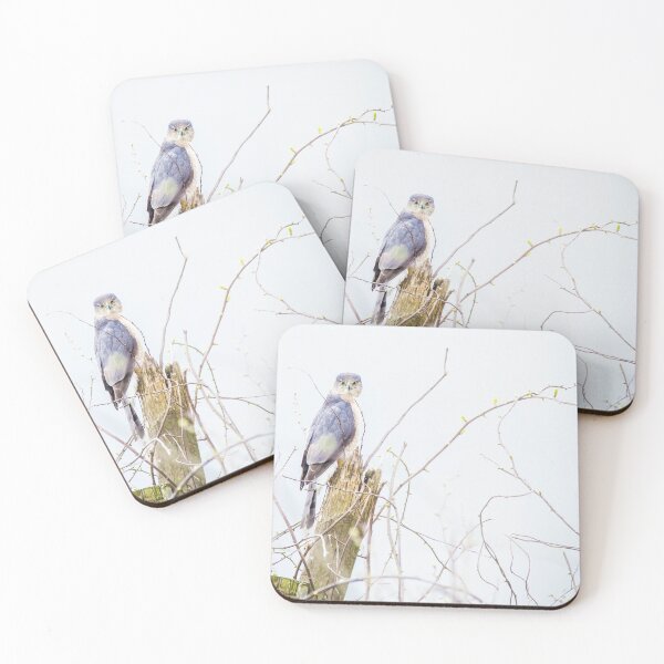 Item preview, I see you designed and sold by krystynaphoto.