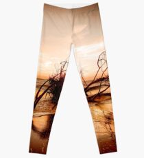 Hurricane victim Leggings