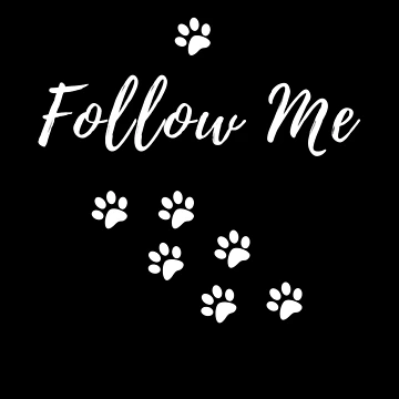 Artwork thumbnail, Follow Me by Rrrainbow