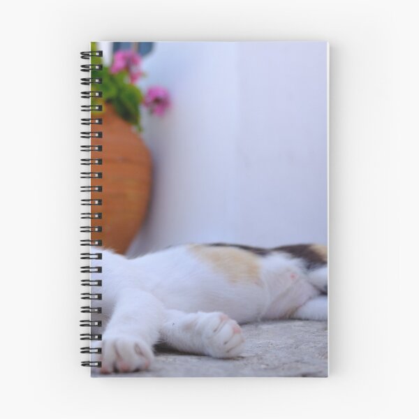 Item preview, Cute parti-colored kitten sleeping on a cobbled street designed and sold by VadimK.