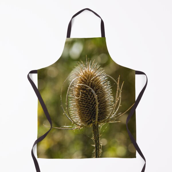 Item preview, A backlit teasel on a sunny autumn day in September designed and sold by Cameranick.
