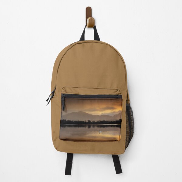 Item preview, Swan on Lough Leane Killarney Ireland Sunrise Art Print designed and sold by ROADTROOPER.