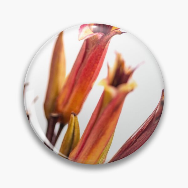 Item preview, Palm Flowers designed and sold by Dave Hare Photography.