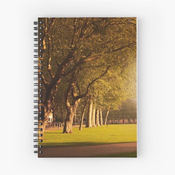 Item preview, Amanecer en el parque designed and sold by alextara.