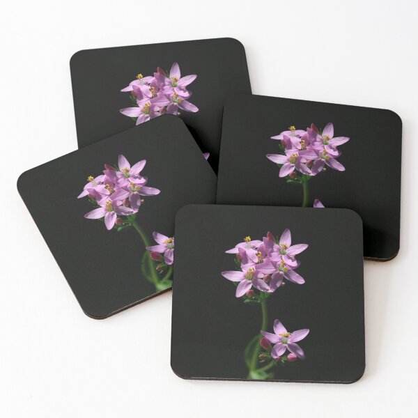 Item preview, Centaury designed and sold by NW-Photo-Art.