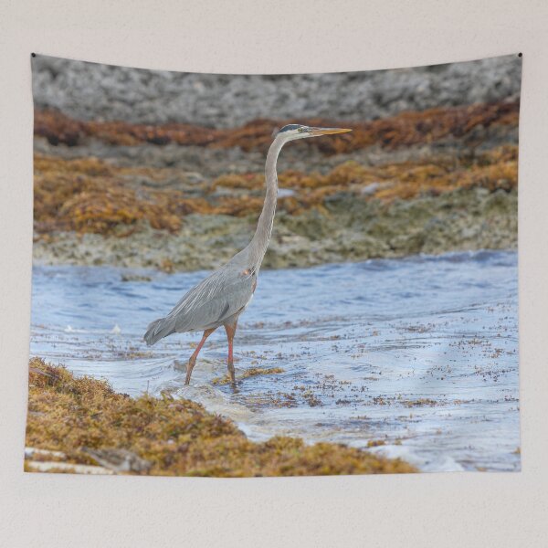 Item preview, Wading Heron designed and sold by Dave Hare Photography.