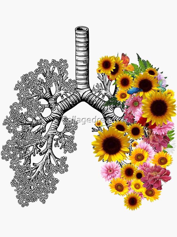 "lungs cancer awareness, sunflowers and daisy floral, anatomy, watercolor" Sticker for Sale by