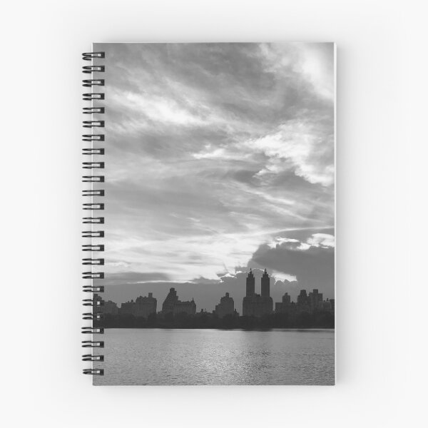 Item preview, Central Park West Sunset designed and sold by nick fedyk.