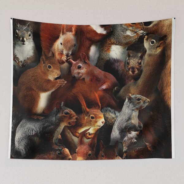 Item preview, Squirrels designed and sold by MaxencePierrard.