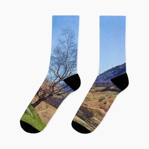 Item preview, Single Highland Tree designed and sold by Dave Hare Photography.