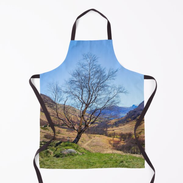 Item preview, Single Highland Tree designed and sold by Dave Hare Photography.