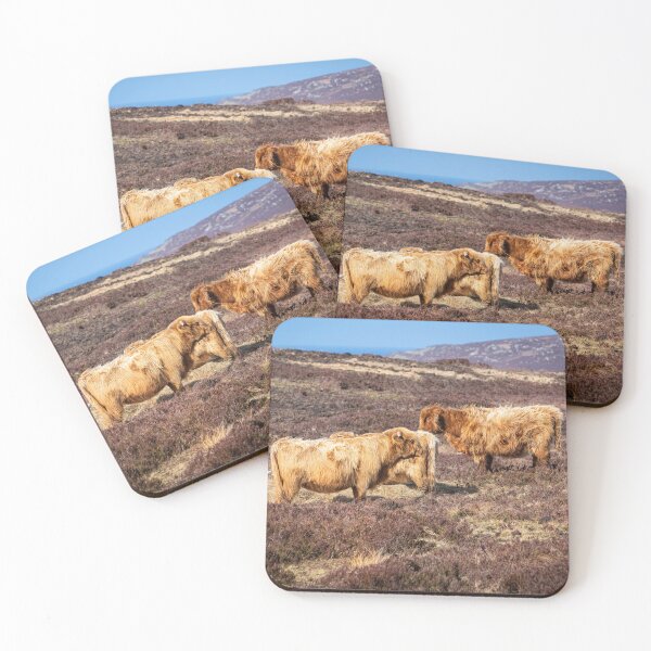 Item preview, Highland Cattle. designed and sold by Dave Hare Photography.