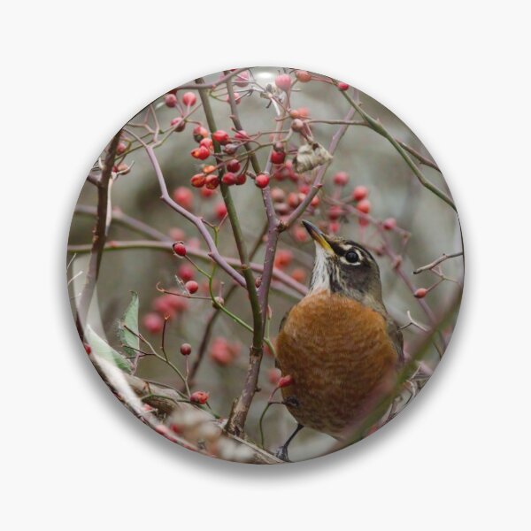 Item preview, Fall Robin designed and sold by rodmacpherson.