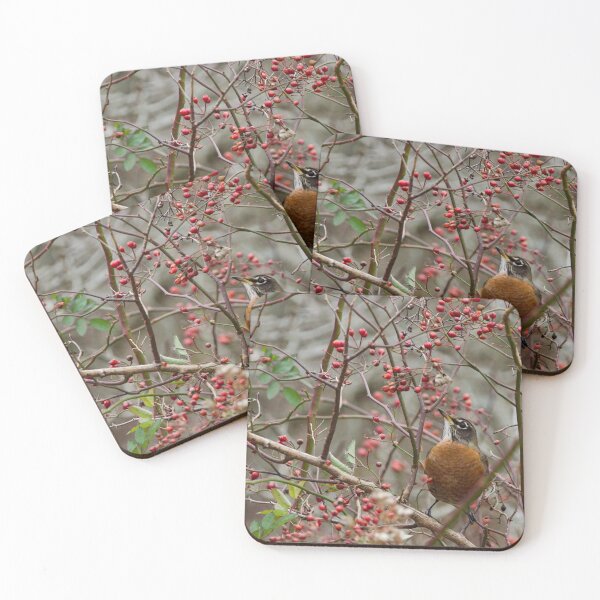 Item preview, Fall Robin designed and sold by rodmacpherson.