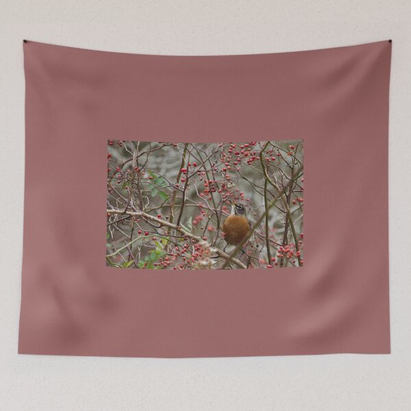 Item preview, Fall Robin designed and sold by rodmacpherson.