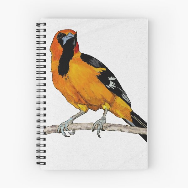 Item preview, Oriol designed and sold by jerodart.