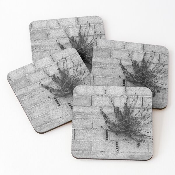 Item preview, Wall flower designed and sold by Paul Pasco.