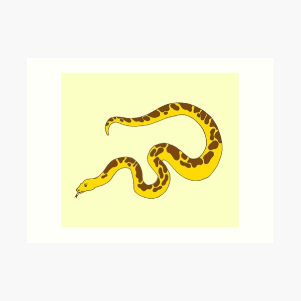 Banana Snake Art Prints | Redbubble