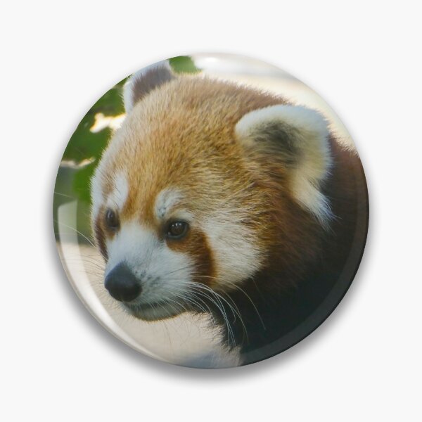 Item preview, Red Panda designed and sold by EmilyCBowdenArt.