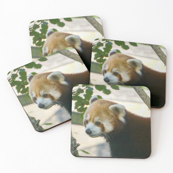Item preview, Red Panda designed and sold by EmilyCBowdenArt.
