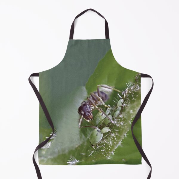 Item preview, New Finition 2020 r1533/  ants- fourmis 1  (c) (t) by Olao-Olavia / Okaio Créations  by fz 1000 2015 designed and sold by o.okaïo.