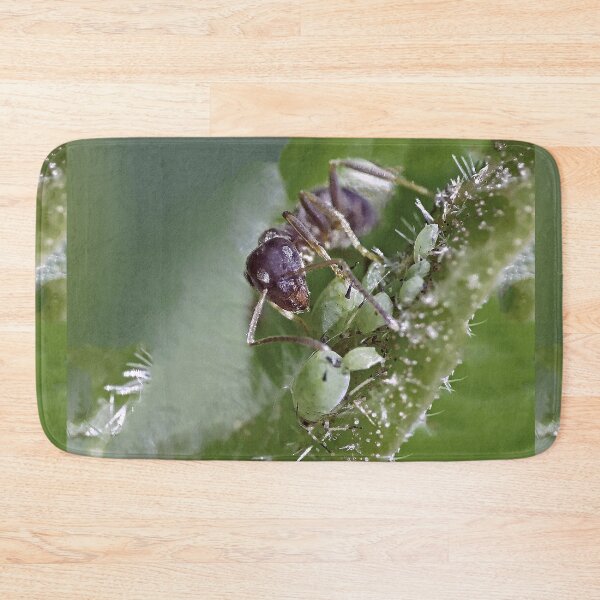 Item preview, New Finition 2020 r1533/  ants- fourmis 1  (c) (t) by Olao-Olavia / Okaio Créations  by fz 1000 2015 designed and sold by o.okaïo.