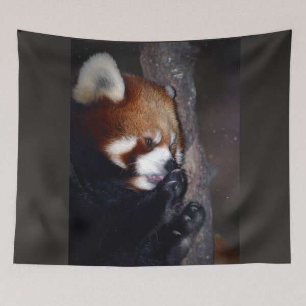 Item preview, Red Bear-Cat designed and sold by Savannah Gibbs.