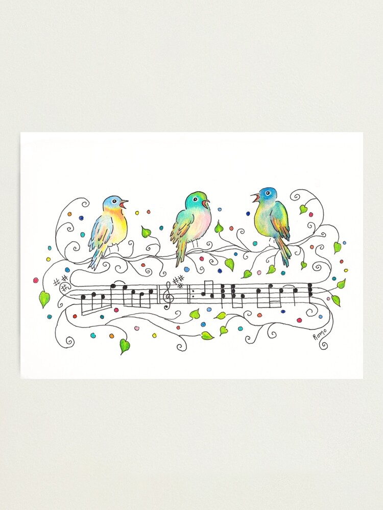 Three Little Birds Photographic Print By Myweb Redbubble