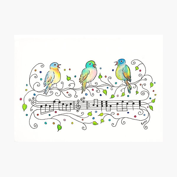 Three Little Birds Photographic Print