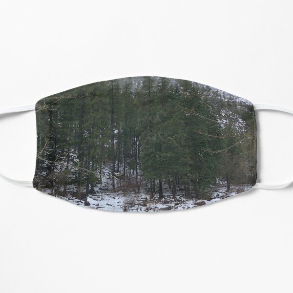 Snowy Mountain Trees on a River Mask