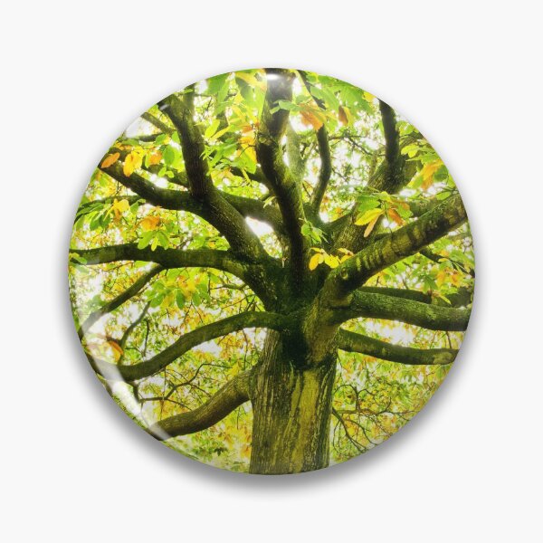 Item preview, Large Autumn Oak Tree designed and sold by kayodeDesign.