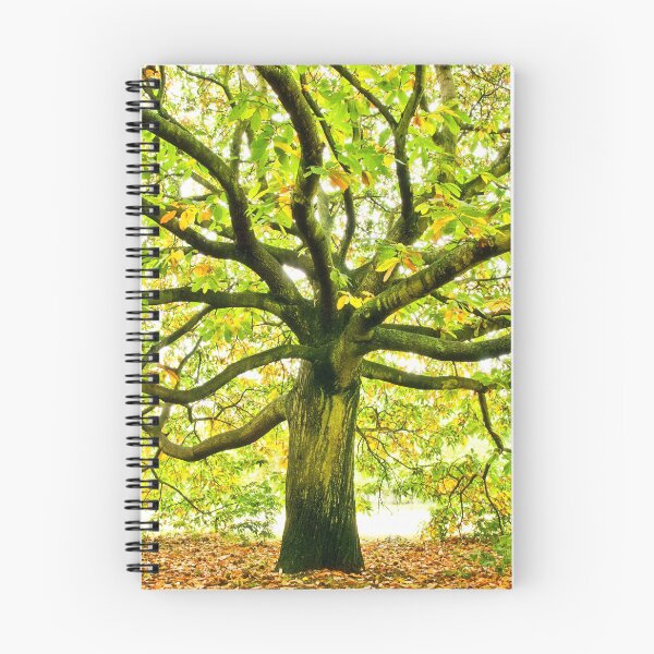 Item preview, Large Autumn Oak Tree designed and sold by kayodeDesign.