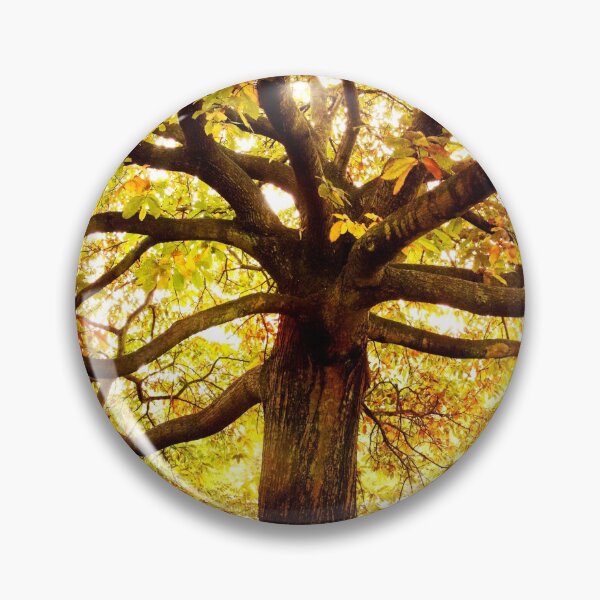 Item preview, Large Brown Autumn Oak Tree designed and sold by kayodeDesign.