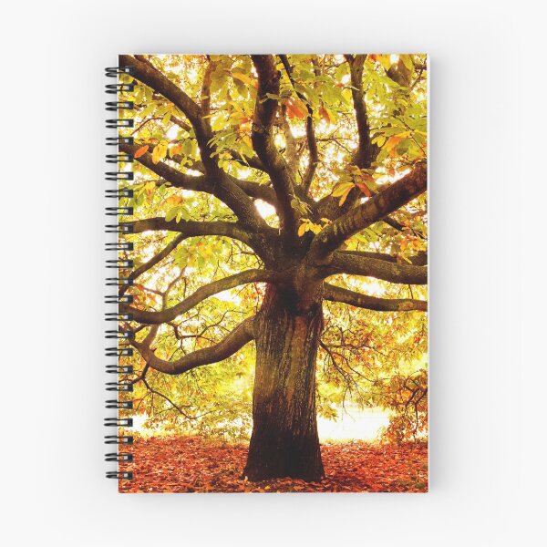 Item preview, Large Brown Autumn Oak Tree designed and sold by kayodeDesign.