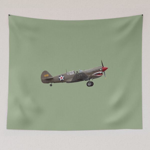 Item preview, P-40 Warhawk designed and sold by sibosssr.
