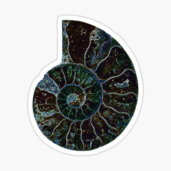 neon ammonite Sticker