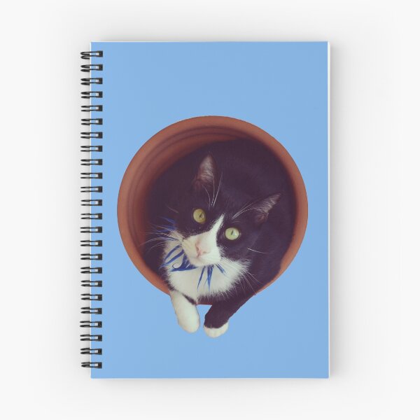 Item preview, Bicolor cat panzon Feline designed and sold by EMEICEA.